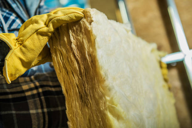Best Eco-Friendly Insulation in Tamiami, FL