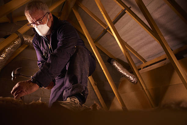 Best Specialized Insulation Services in Tamiami, FL